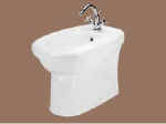 nvbidet.jpg (4272 bytes)
